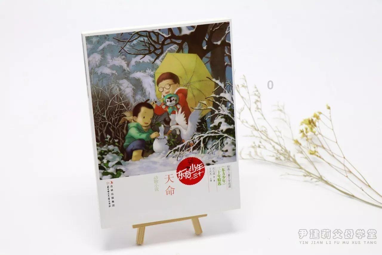 微软推出surface设备维修指南手册